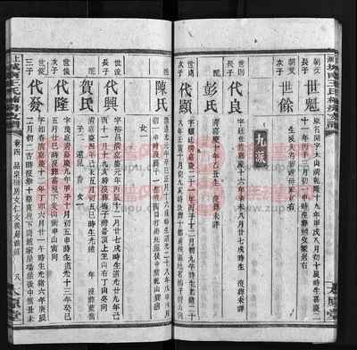 太原堂上湘城南王氏楠房支譜 泰原堂字輩尋根記